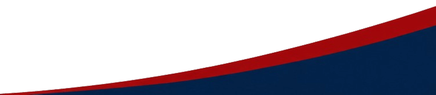 PolGer Connect – Personalvermittlung & Unternehmensdienstleistungen – kleine Welle